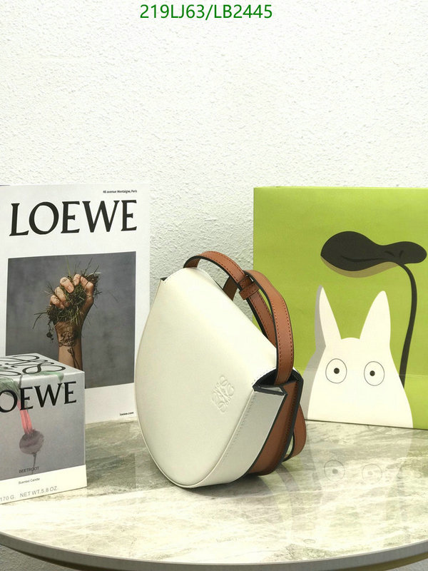 Loewe-Bag-Mirror Quality Code: LB2445 $: 219USD