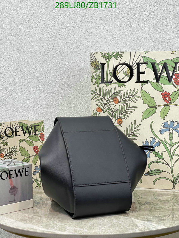 Loewe-Bag-Mirror Quality Code: ZB1731 $: 289USD