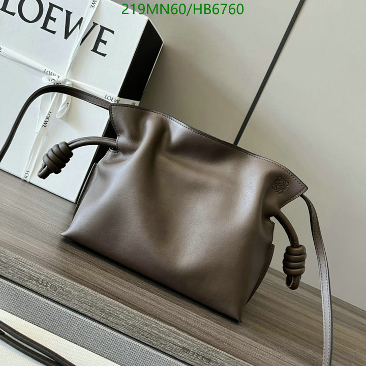 Loewe-Bag-Mirror Quality Code: HB6750 $: 219USD