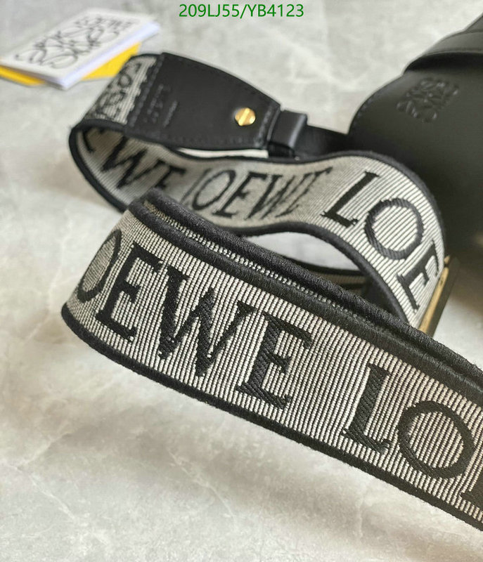 Loewe-Bag-Mirror Quality Code: YB4123 $: 209USD