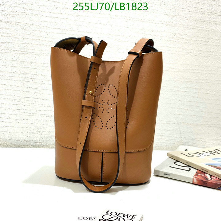Loewe-Bag-Mirror Quality Code: LB1823 $: 255USD