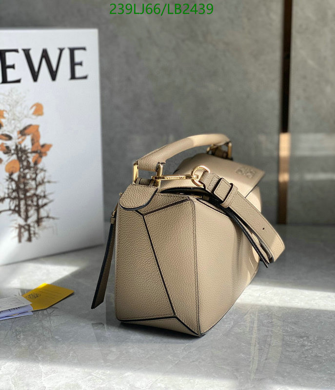 Loewe-Bag-Mirror Quality Code: LB2439 $: 239USD