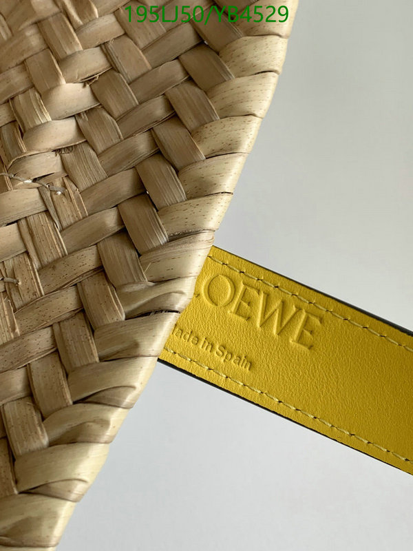 Loewe-Bag-Mirror Quality Code: YB4529 $: 195USD