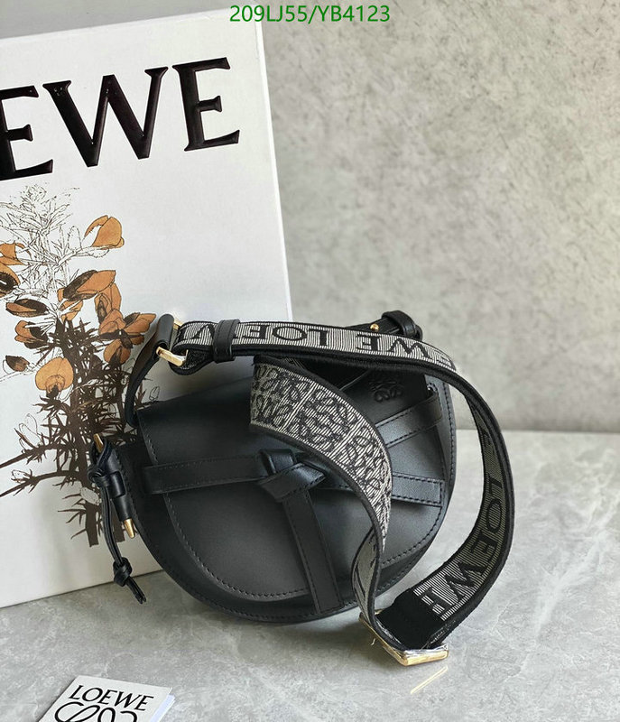 Loewe-Bag-Mirror Quality Code: YB4123 $: 209USD