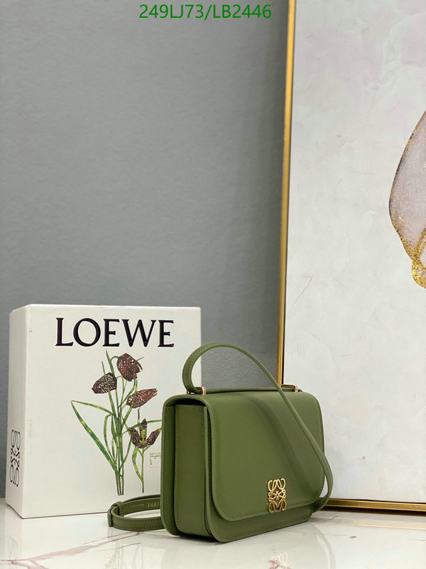 Loewe-Bag-Mirror Quality Code: LB2446 $: 249USD