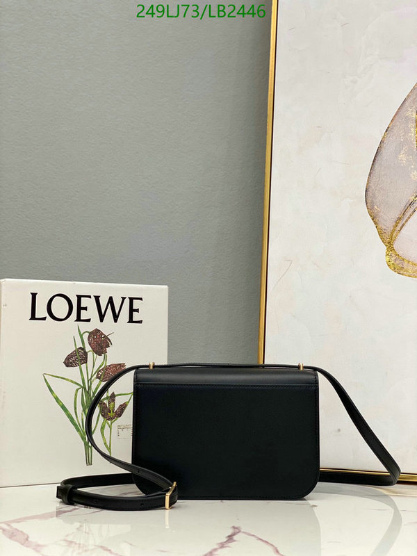 Loewe-Bag-Mirror Quality Code: LB2446 $: 249USD