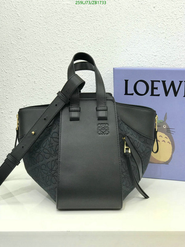 Loewe-Bag-Mirror Quality Code: ZB1733 $: 259USD