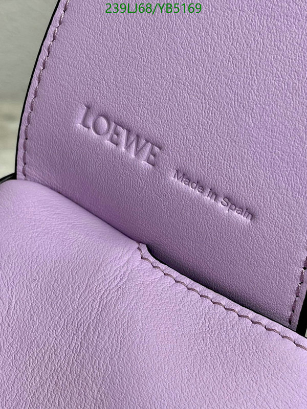 Loewe-Bag-Mirror Quality Code: YB5169 $: 239USD