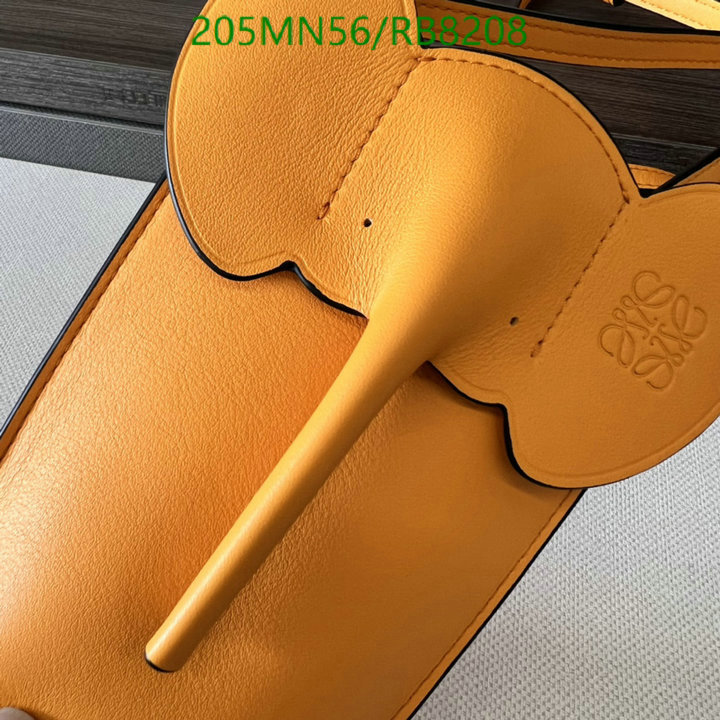 Loewe-Bag-Mirror Quality Code: RB8208 $: 205USD