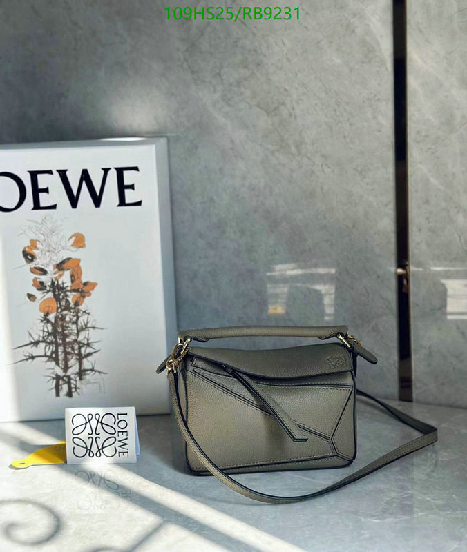 Loewe-Bag-4A Quality Code: RB9231 $: 109USD