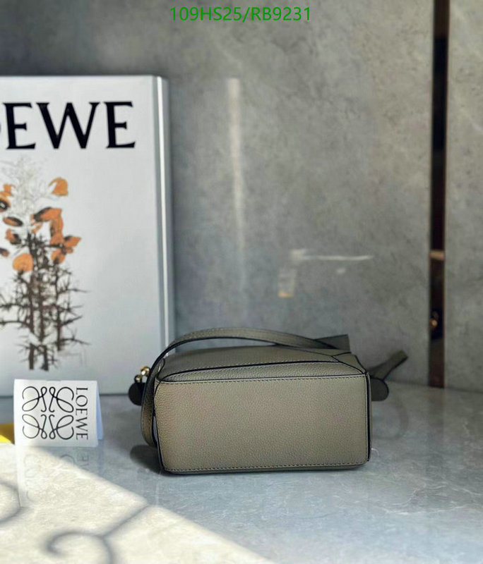 Loewe-Bag-4A Quality Code: RB9231 $: 109USD