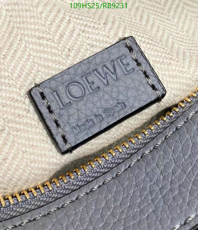 Loewe-Bag-4A Quality Code: RB9231 $: 109USD