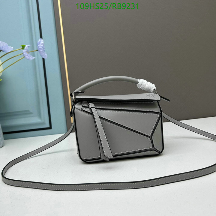 Loewe-Bag-4A Quality Code: RB9231 $: 109USD