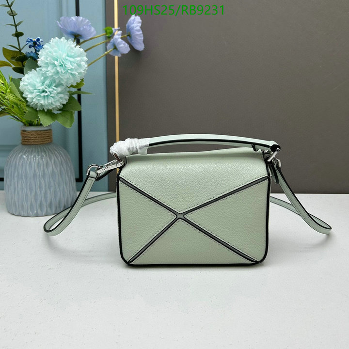 Loewe-Bag-4A Quality Code: RB9231 $: 109USD