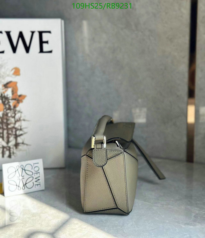 Loewe-Bag-4A Quality Code: RB9231 $: 109USD