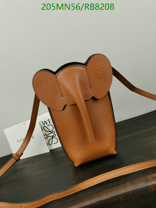 Loewe-Bag-Mirror Quality Code: RB8208 $: 205USD