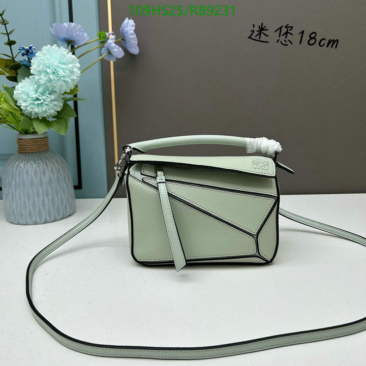 Loewe-Bag-4A Quality Code: RB9231 $: 109USD