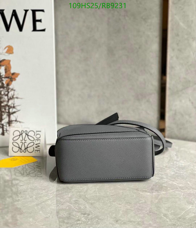 Loewe-Bag-4A Quality Code: RB9231 $: 109USD