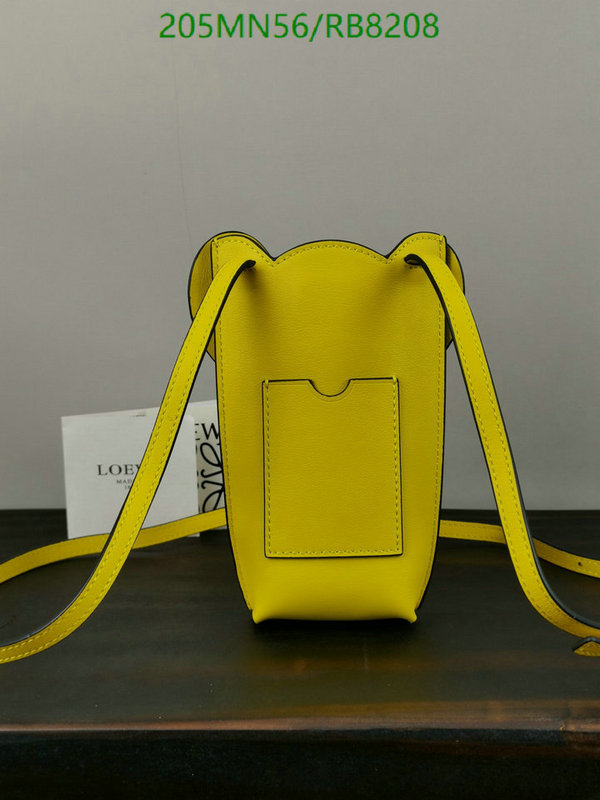 Loewe-Bag-Mirror Quality Code: RB8208 $: 205USD