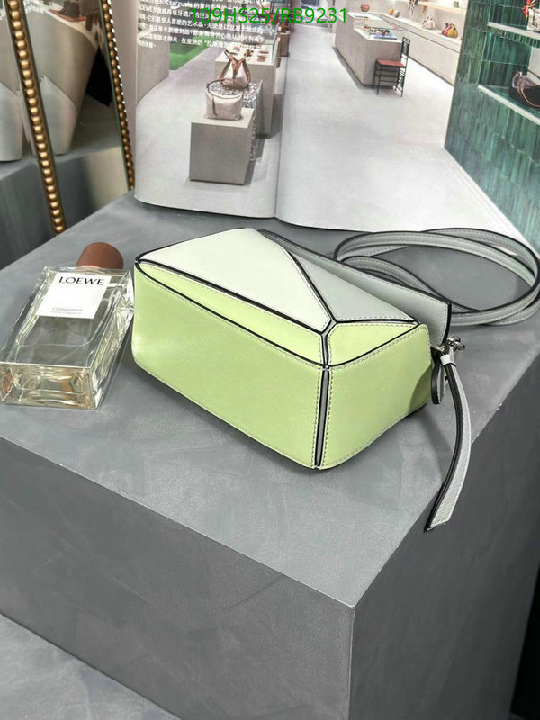 Loewe-Bag-4A Quality Code: RB9231 $: 109USD