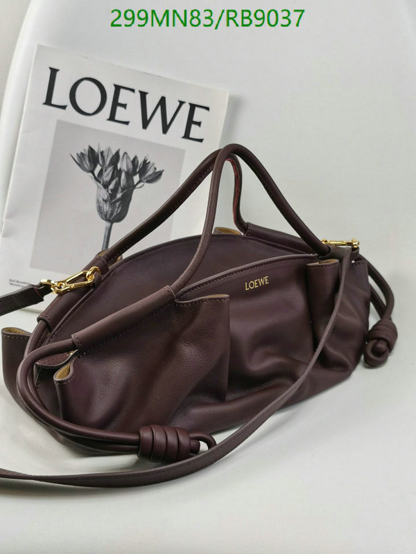 Loewe-Bag-Mirror Quality Code: RB9037 $: 299USD