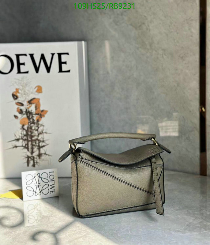 Loewe-Bag-4A Quality Code: RB9231 $: 109USD