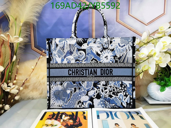 Dior-Bag-Mirror Quality Code: YB5592