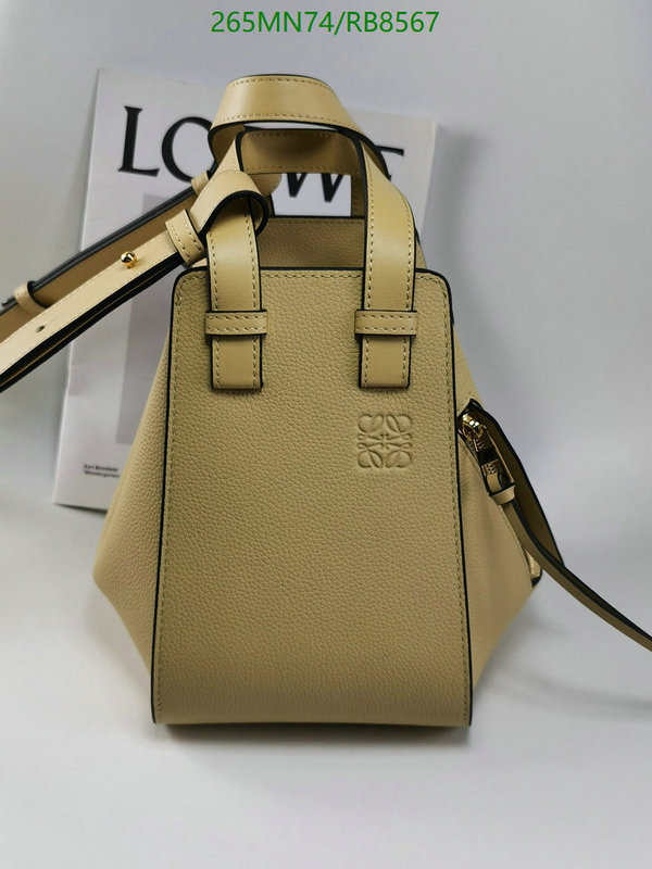Loewe-Bag-Mirror Quality Code: RB8567 $: 265USD