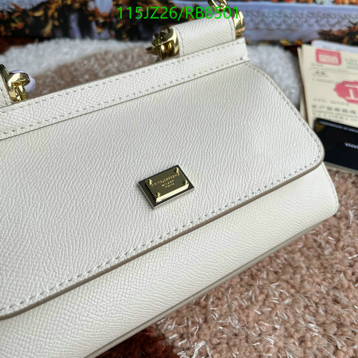 D&G-Bag-Mirror Quality Code: RB8501 $: 115USD