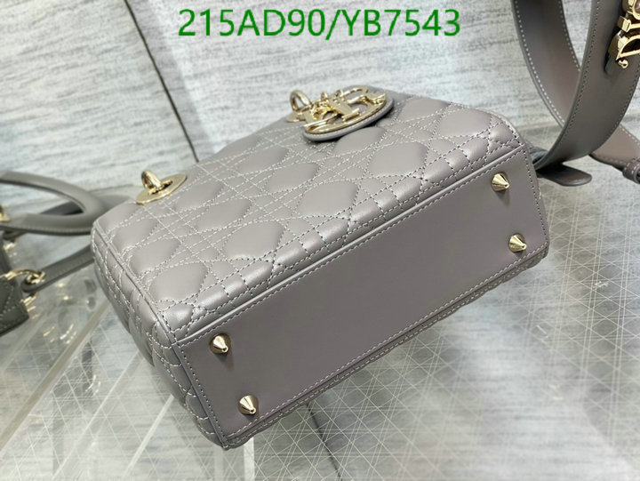 Dior-Bag-Mirror Quality Code: YB7543 $: 215USD