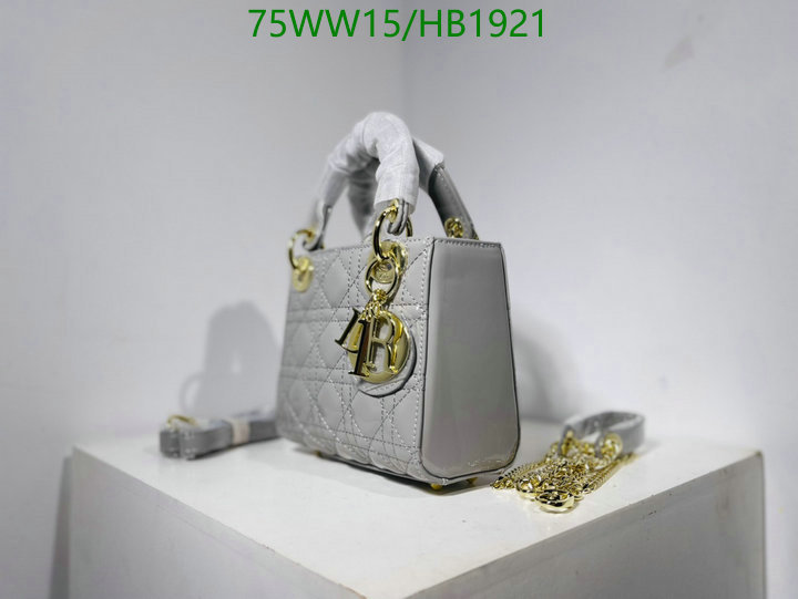 Dior-Bag-4A Quality Code: HB1921 $: 75USD