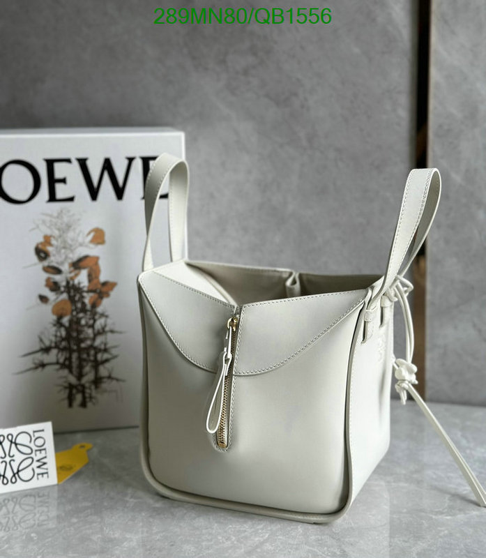 Loewe-Bag-Mirror Quality Code: QB1556 $: 289USD