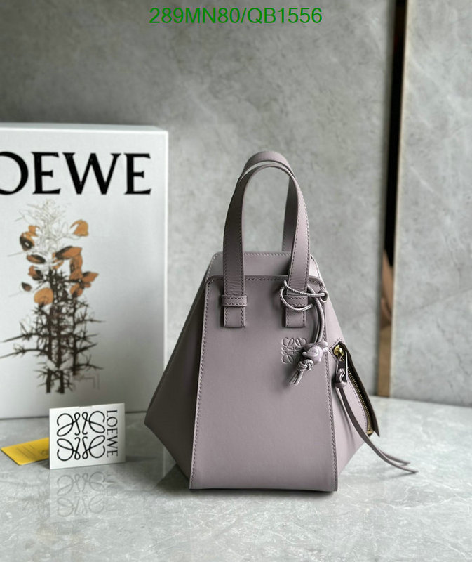 Loewe-Bag-Mirror Quality Code: QB1556 $: 289USD