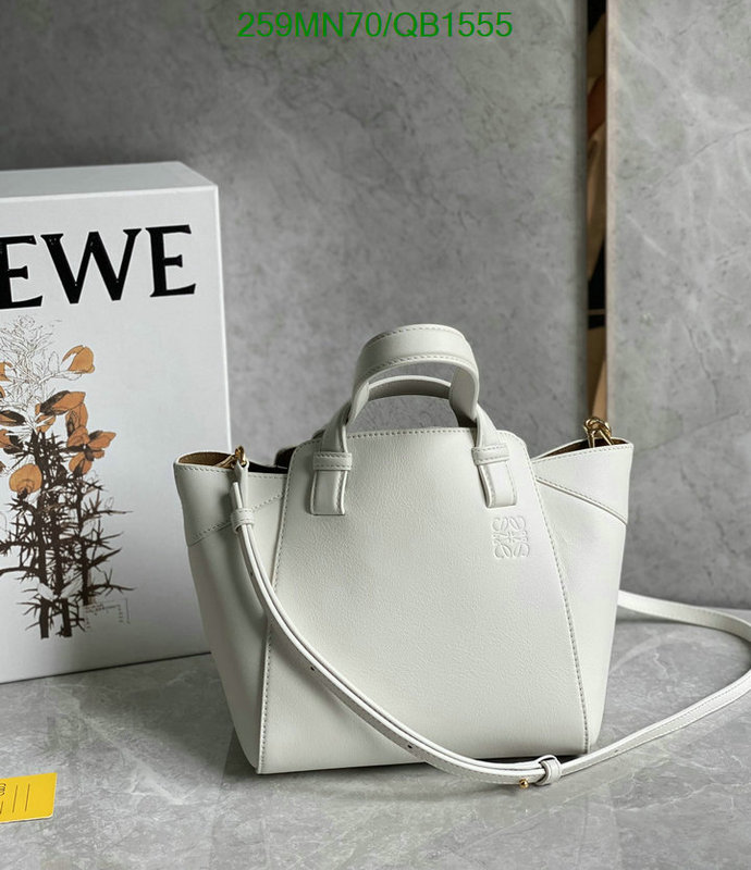 Loewe-Bag-Mirror Quality Code: QB1555 $: 259USD