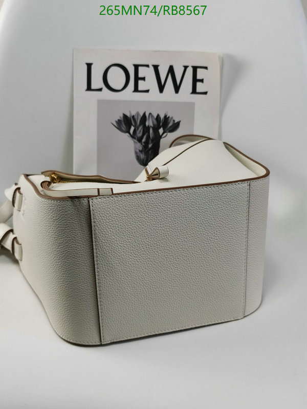 Loewe-Bag-Mirror Quality Code: RB8567 $: 265USD