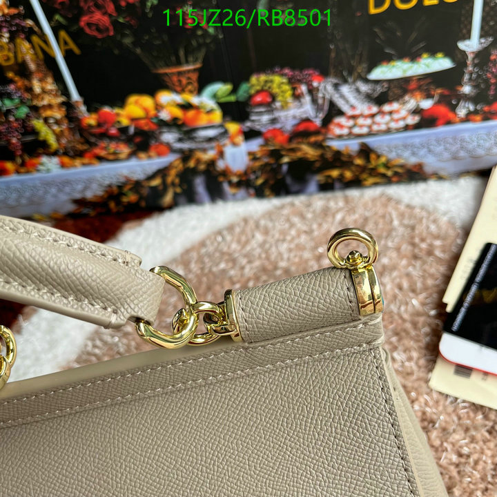 D&G-Bag-Mirror Quality Code: RB8501 $: 115USD