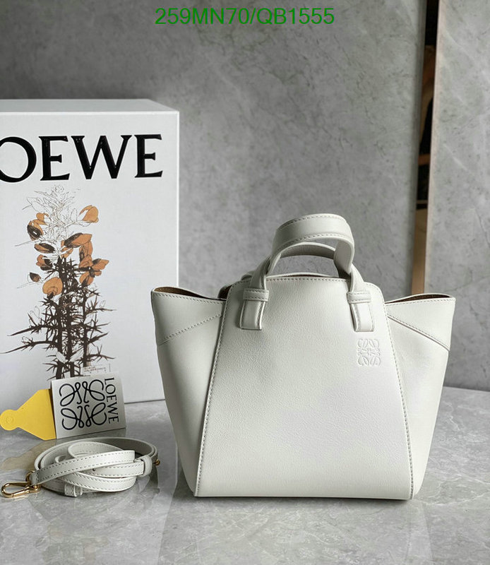 Loewe-Bag-Mirror Quality Code: QB1555 $: 259USD