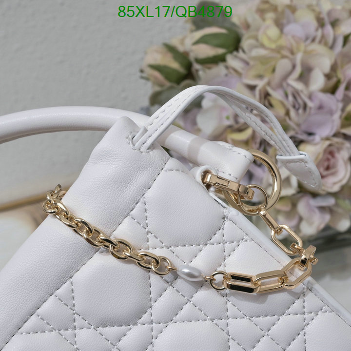 Dior-Bag-4A Quality Code: QB4879 $: 85USD