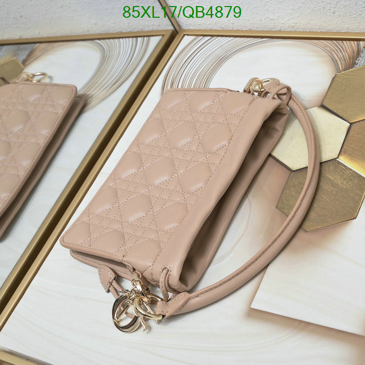 Dior-Bag-4A Quality Code: QB4879 $: 85USD