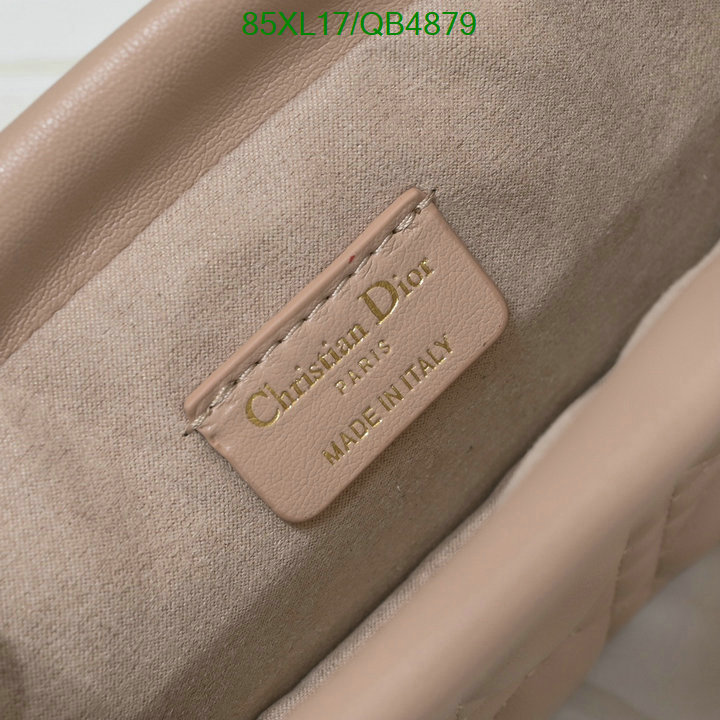 Dior-Bag-4A Quality Code: QB4879 $: 85USD