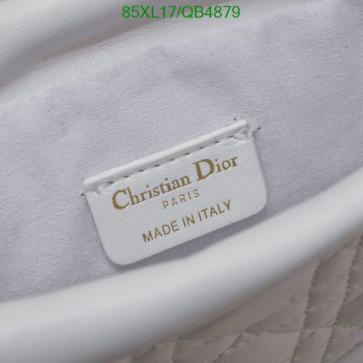 Dior-Bag-4A Quality Code: QB4879 $: 85USD