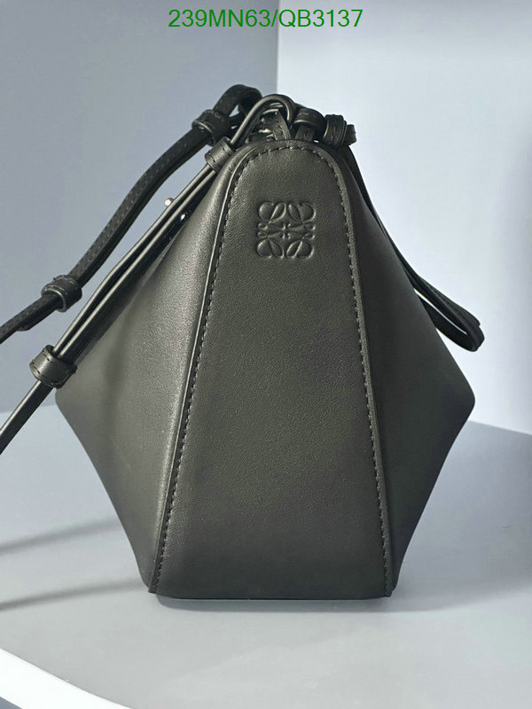 Loewe-Bag-Mirror Quality Code: QB3137 $: 239USD