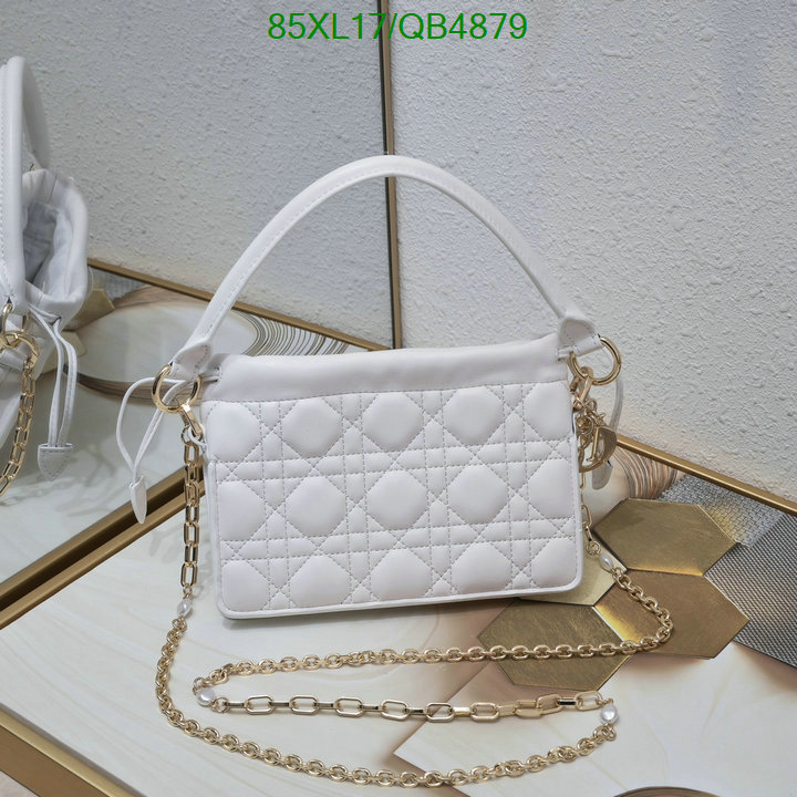 Dior-Bag-4A Quality Code: QB4879 $: 85USD