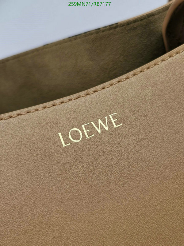 Loewe-Bag-Mirror Quality Code: RB7177 $: 259USD