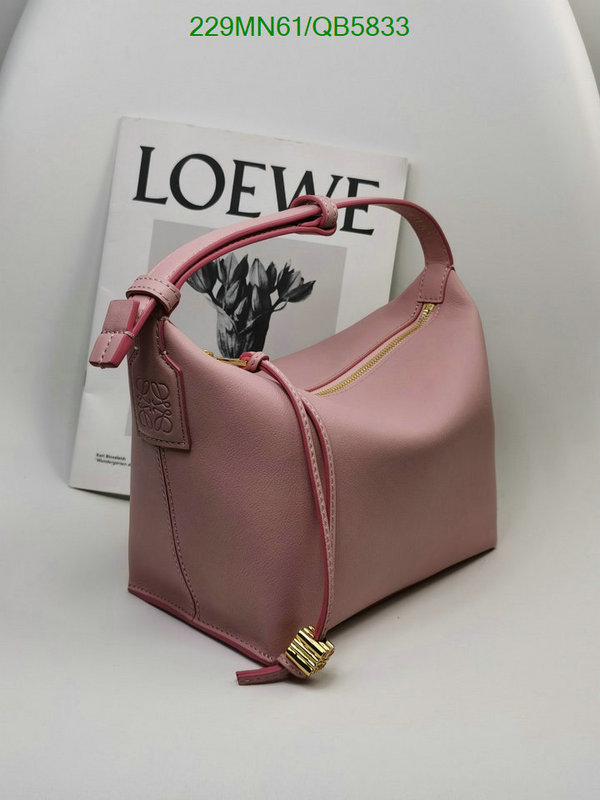 Loewe-Bag-Mirror Quality Code: QB5833 $: 229USD