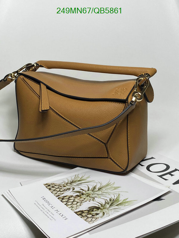 Loewe-Bag-Mirror Quality Code: QB5861 $: 249USD