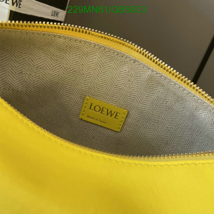 Loewe-Bag-Mirror Quality Code: QB5833 $: 229USD