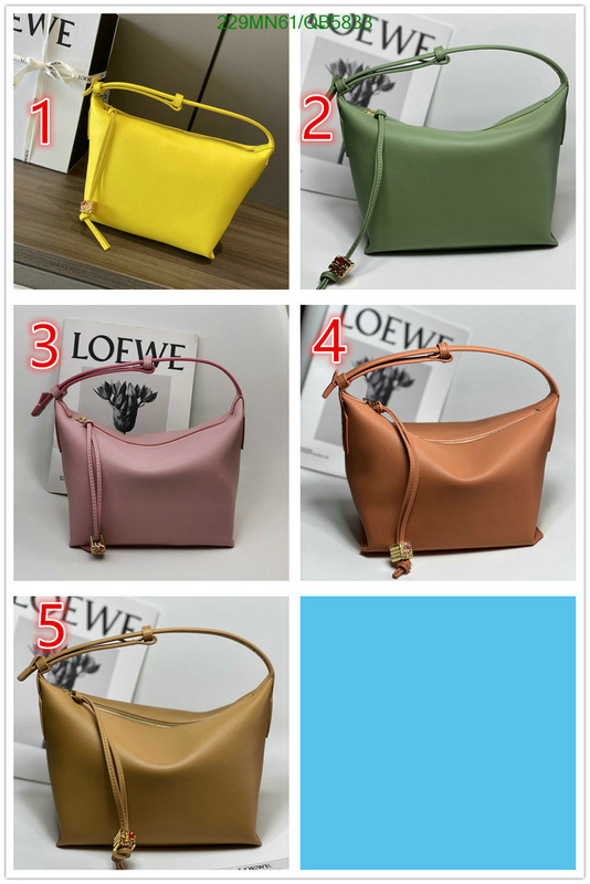 Loewe-Bag-Mirror Quality Code: QB5833 $: 229USD