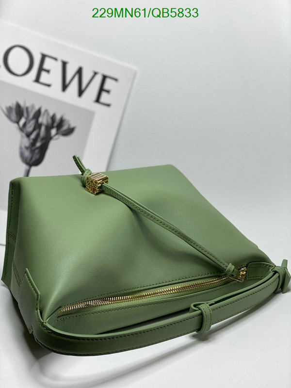 Loewe-Bag-Mirror Quality Code: QB5833 $: 229USD