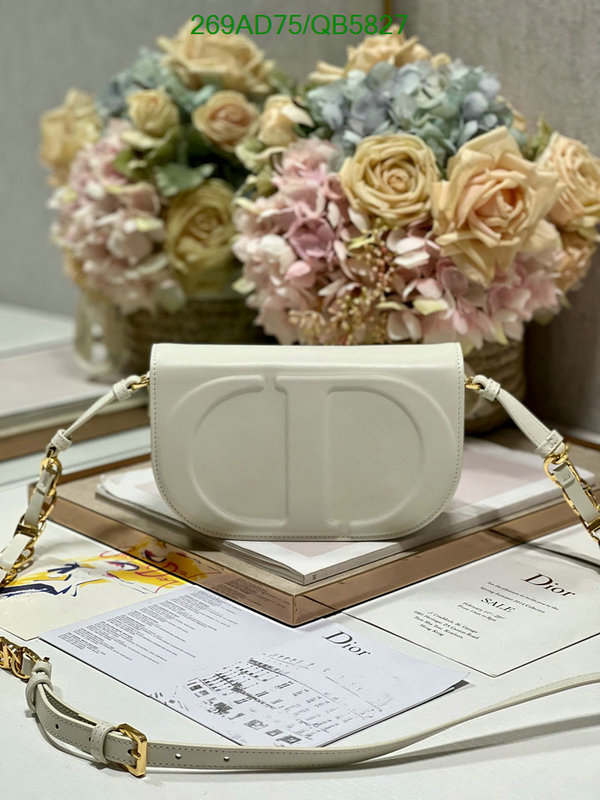 Dior-Bag-Mirror Quality Code: QB5827 $: 269USD